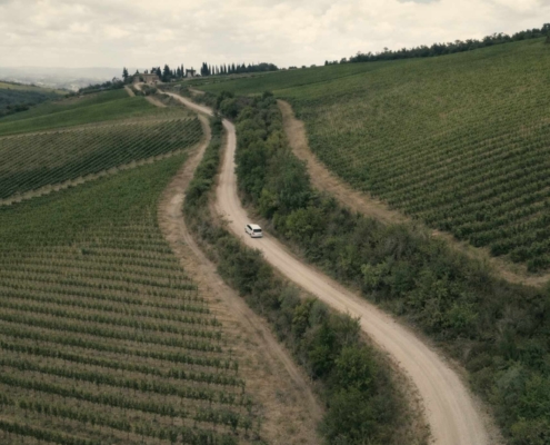 Private tours from San Gimignano: Chianti wine tour