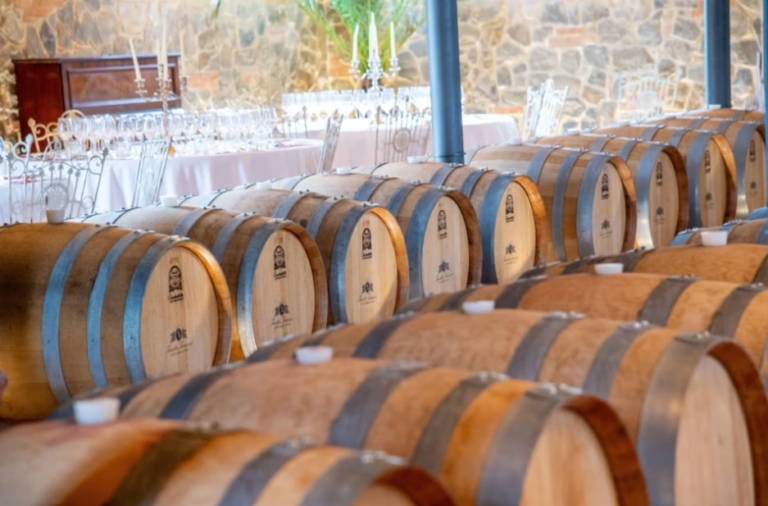 Cena in cantina toscana con degustazione di vini pregiati, olio d’oliva e aceto balsamico vicino a San Gimignano