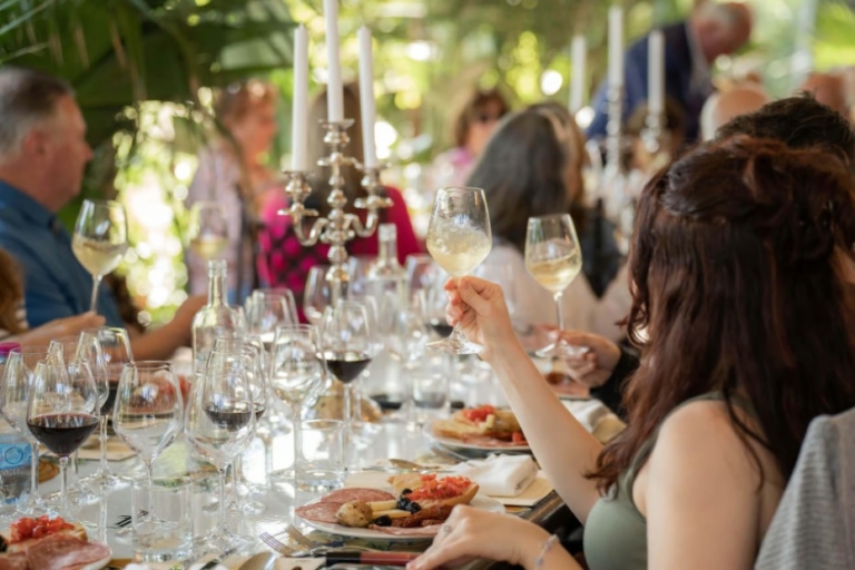 Cena in cantina toscana con degustazione di vini pregiati, olio d’oliva e aceto balsamico vicino a San Gimignano